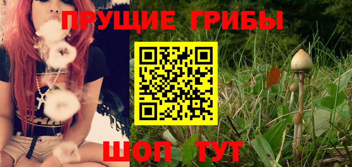 Псилоцибиновые грибы Cubensis  наркошоп  Ковров  Псилоцибиновые грибы Magic Shrooms  Вход с VPN 