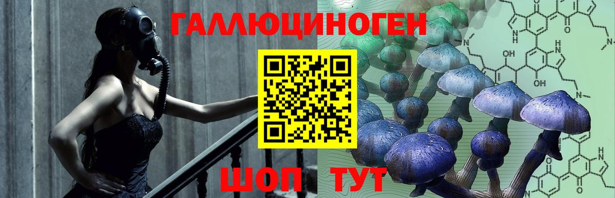 Галлюциногенные грибы мухоморы Ковров